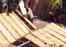 menuPic1